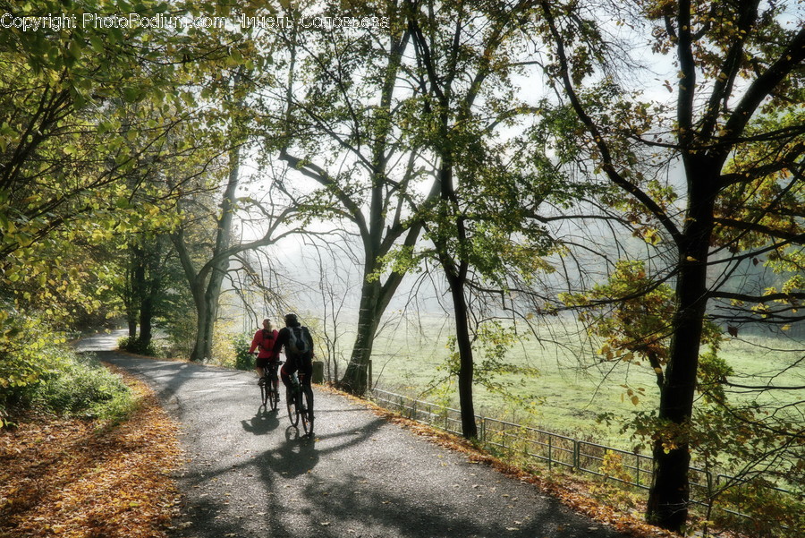 Person, Human, Vehicle, Bicycle, Bike