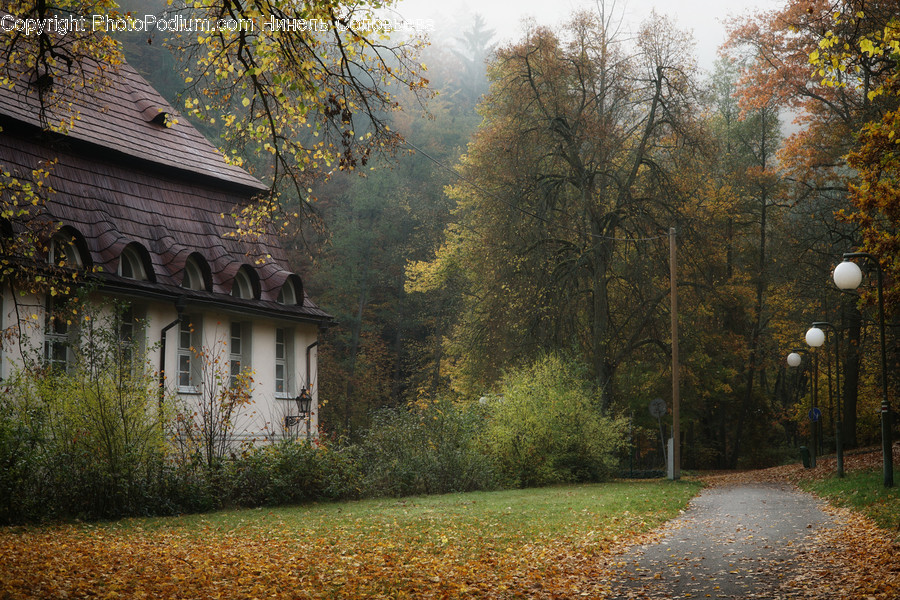 Nature, Outdoors, Building, Rural, Shelter