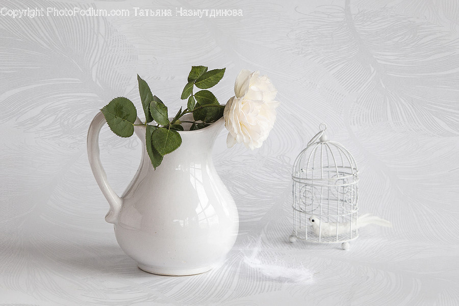 Plant, Jug, Blossom, Flower, Jar