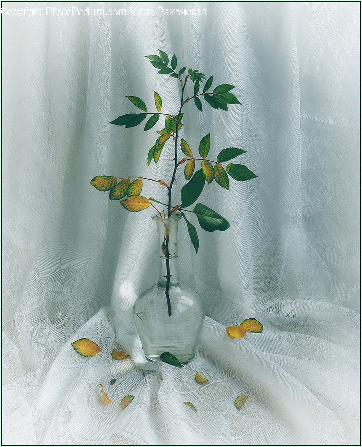 Curtain, Shower Curtain, Plant, Art, Painting