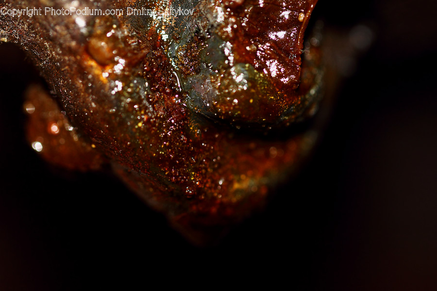 Food, Confectionery, Sweets, Rust, Pork