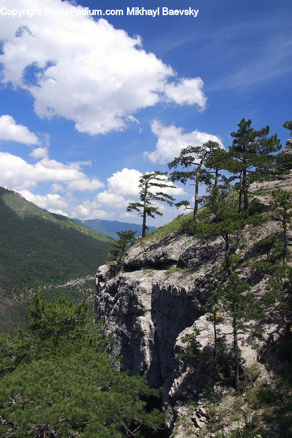 Cliff, Outdoors, Plateau, Forest, Jungle, Rainforest, Vegetation