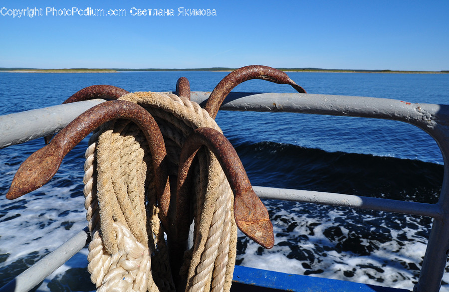 Rust, Mammal, Animal, Wildlife, Elephant