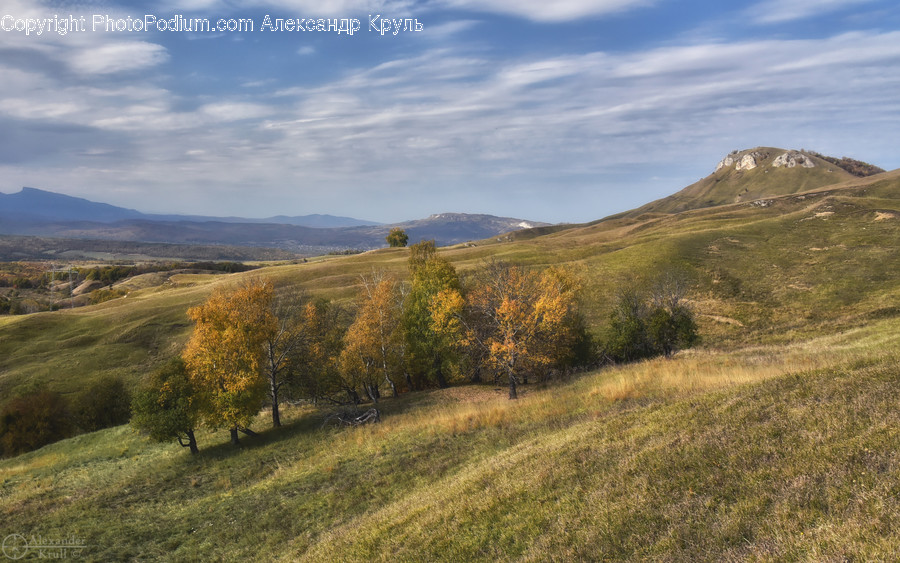 Nature, Outdoors, Countryside, Field, Grassland