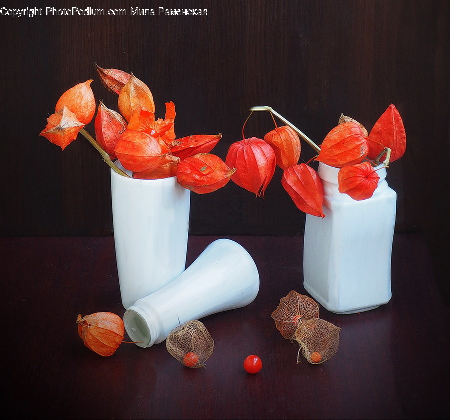 Plant, Jar, Blossom, Flower, Pottery