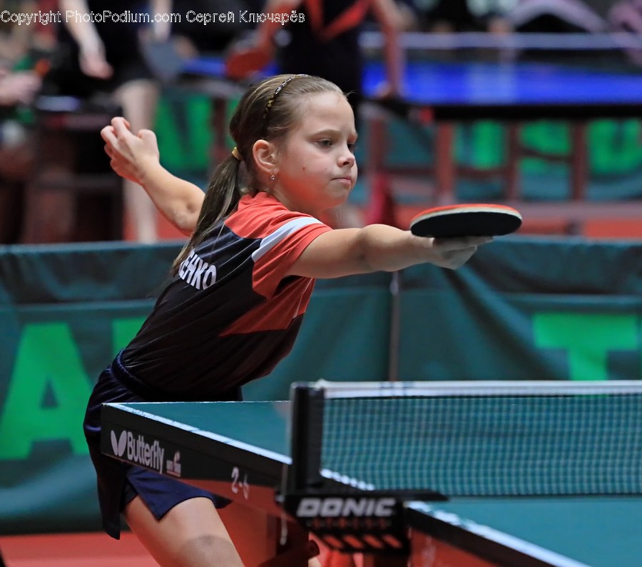 Human, Person, Sport, Sports, Ping Pong