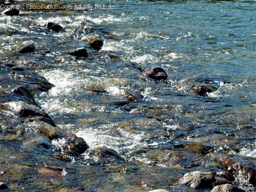 Water, Outdoors, Nature, Stream, Creek