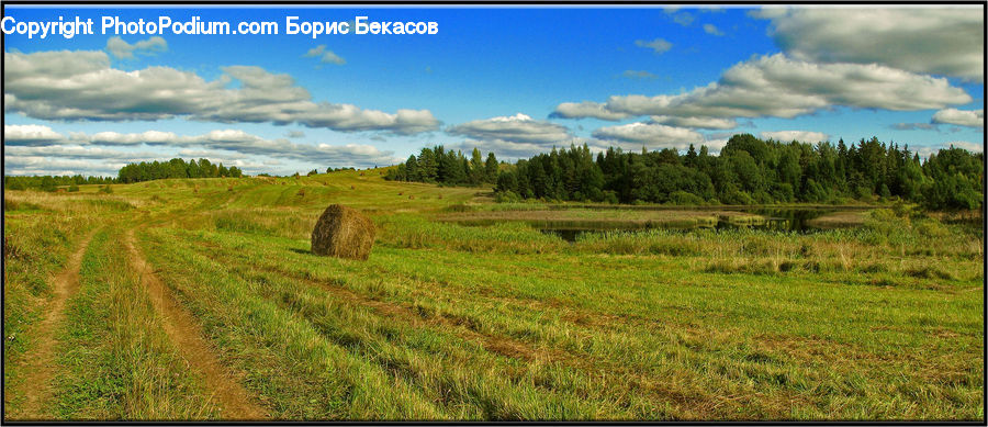 Field, Grass, Grassland, Land, Outdoors, Dirt Road, Gravel