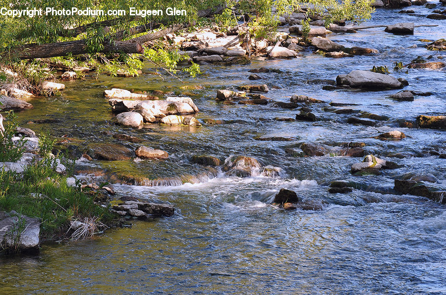 Creek, Outdoors, River, Water, Rock, Land, Marsh