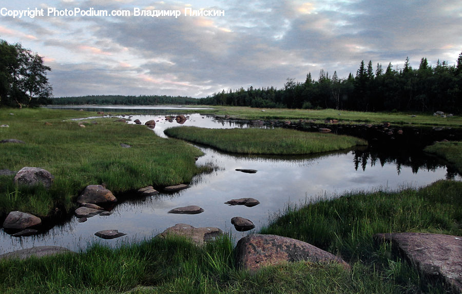 Outdoors, Pond, Water, Field, Grass, Grassland, Plant