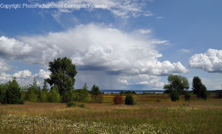 Nature, Outdoors, Field, Grassland, Weather