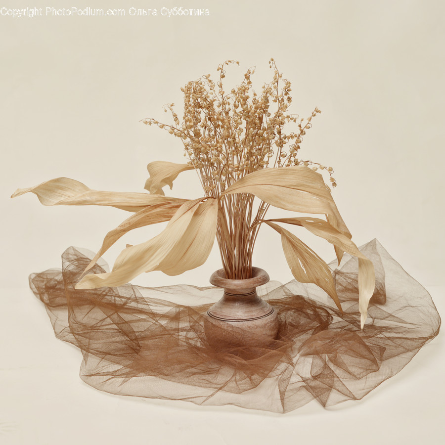 Plant, Art, Wood, Blossom, Flower