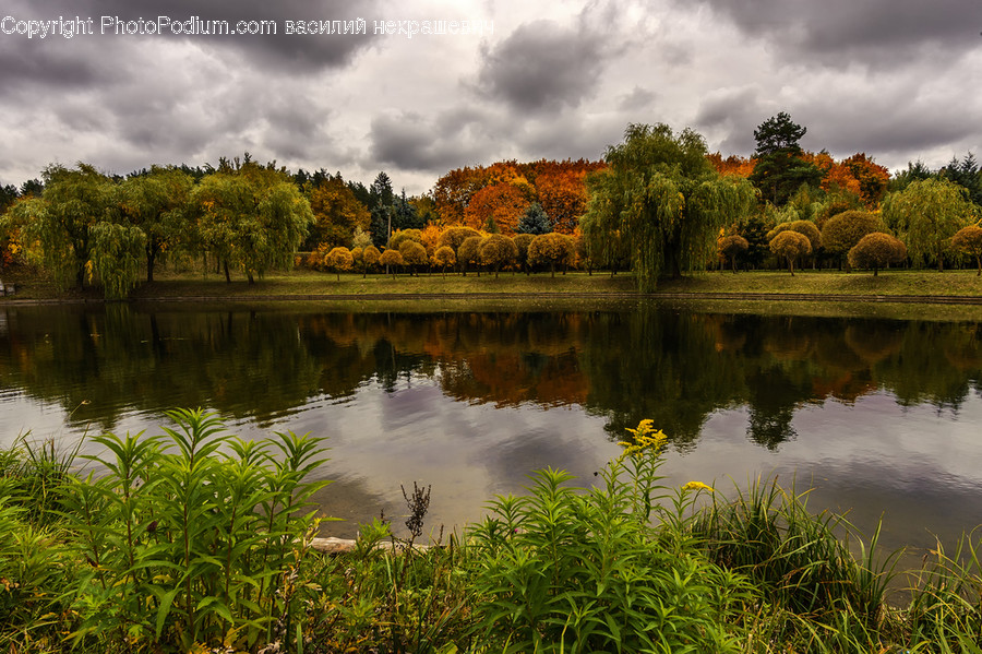 Nature, Water, Outdoors, Land, Weather