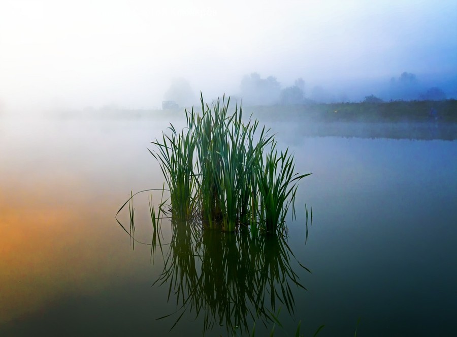 Nature, Outdoors, Weather, Fog, Mist
