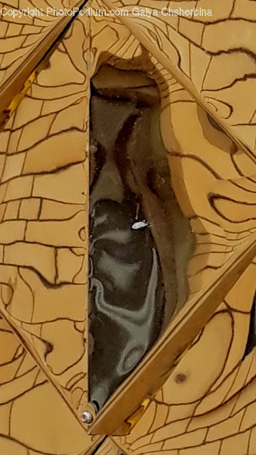 Soil, Wood, Art