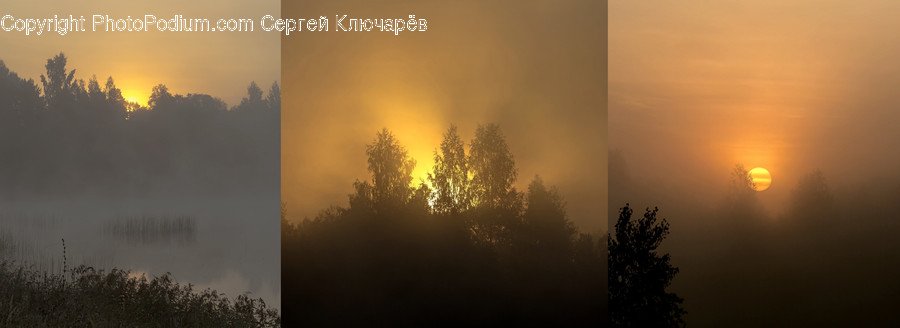 Weather, Nature, Outdoors, Fog, Mist