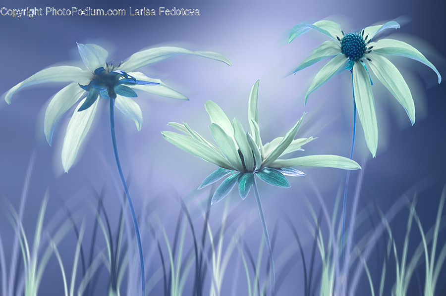 Art, Graphics, Green, Spring, Plant