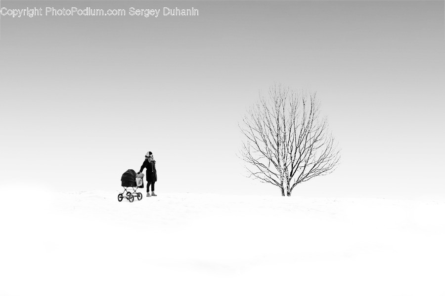 Nature, Outdoors, Person, Human, Winter