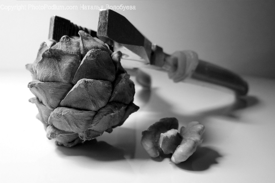 Plant, Food, Vegetable, Produce, Artichoke