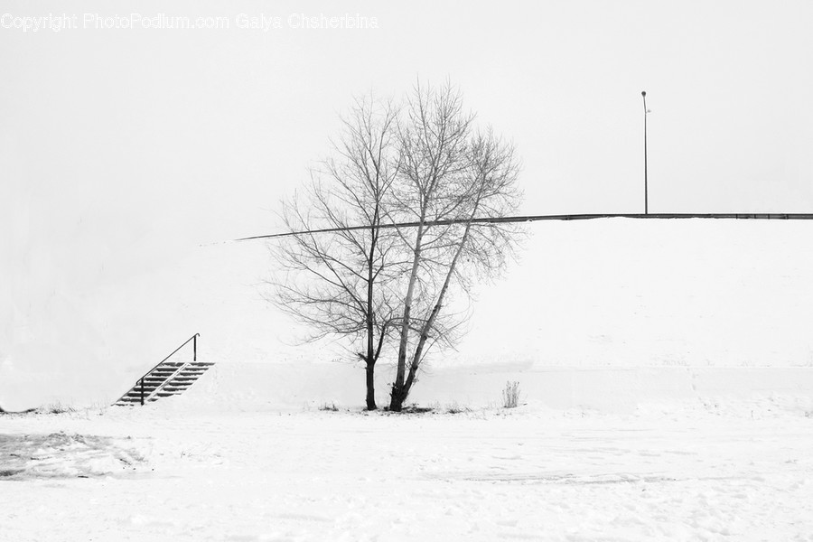 Nature, Outdoors, Winter, Storm, Blizzard