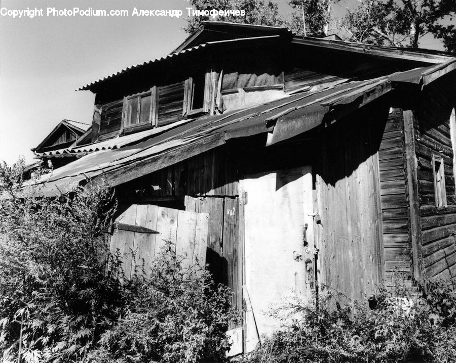 Cabin, Hut, Rural, Shack, Shelter, Building, Cottage
