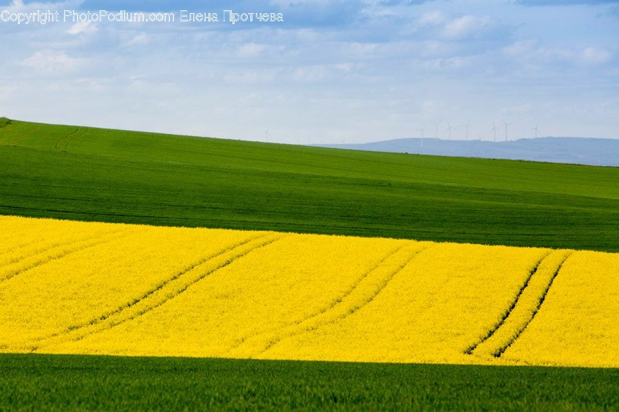 Field, Grassland, Outdoors