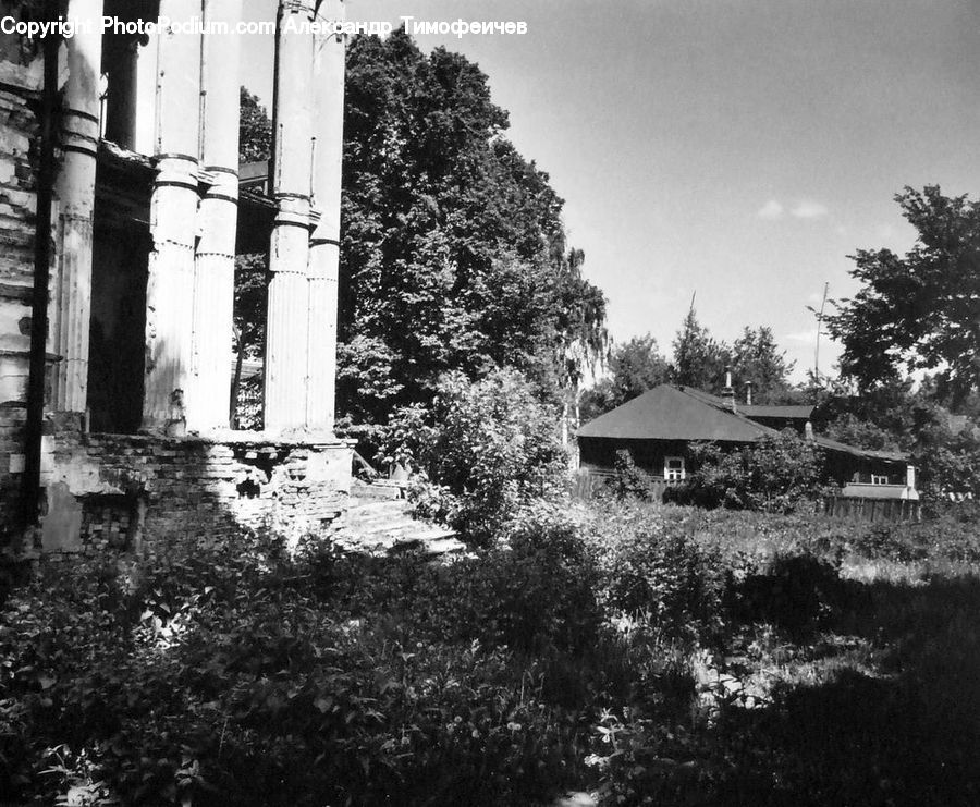 Building, Cottage, Housing, Plant, Tree, Bush, Vegetation