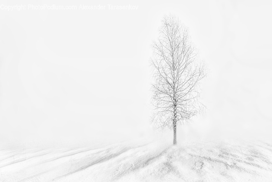 Nature, Outdoors, Snow, Winter, Blizzard