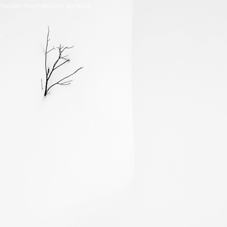 Art, Drawing, Nature, Plant, Outdoors