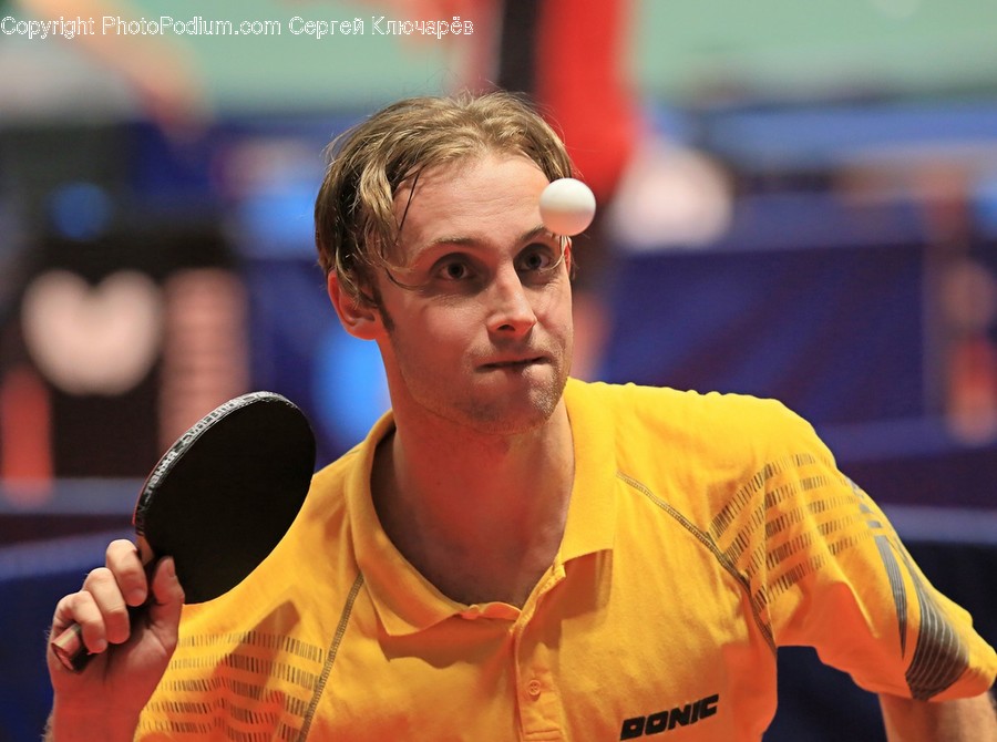 Human, Person, Sport, Sports, Ping Pong