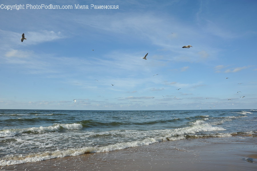 Outdoors, Sea, Nature, Water, Ocean