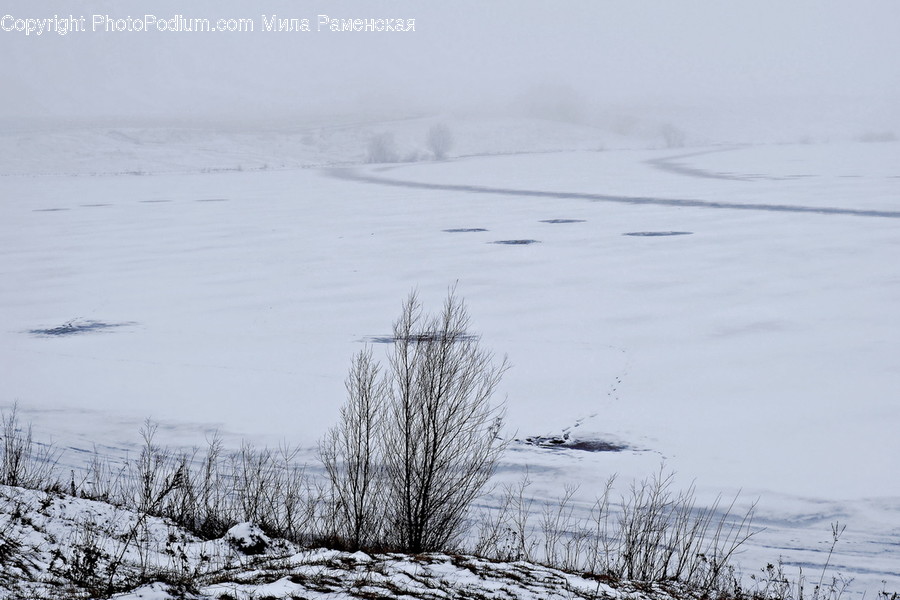 Winter, Outdoors, Snow, Storm, Blizzard