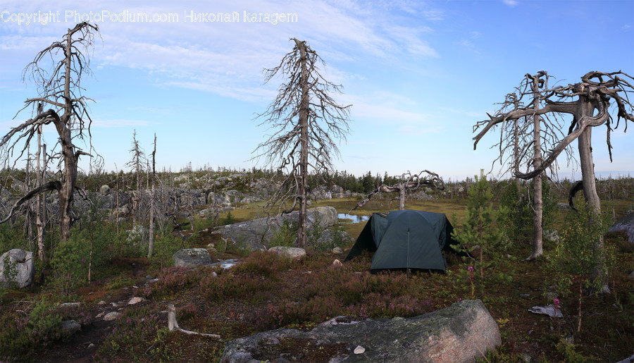 Camping, Tent, Leisure Activities, Mountain Tent