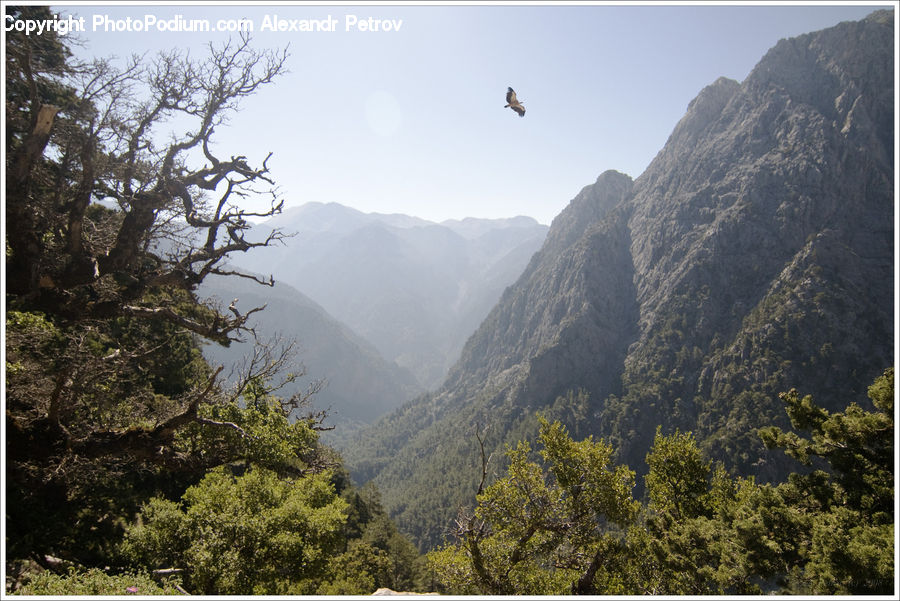 Crest, Mountain, Outdoors, Peak, Valley, Mountain Range, Landscape