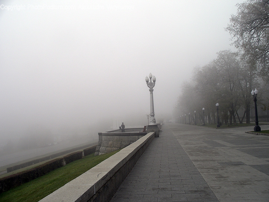 Nature, Weather, Fog, Outdoors, Mist
