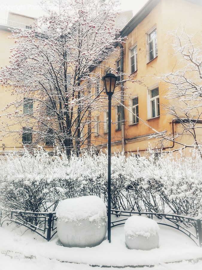 Nature, Outdoors, Snow, Winter, Storm
