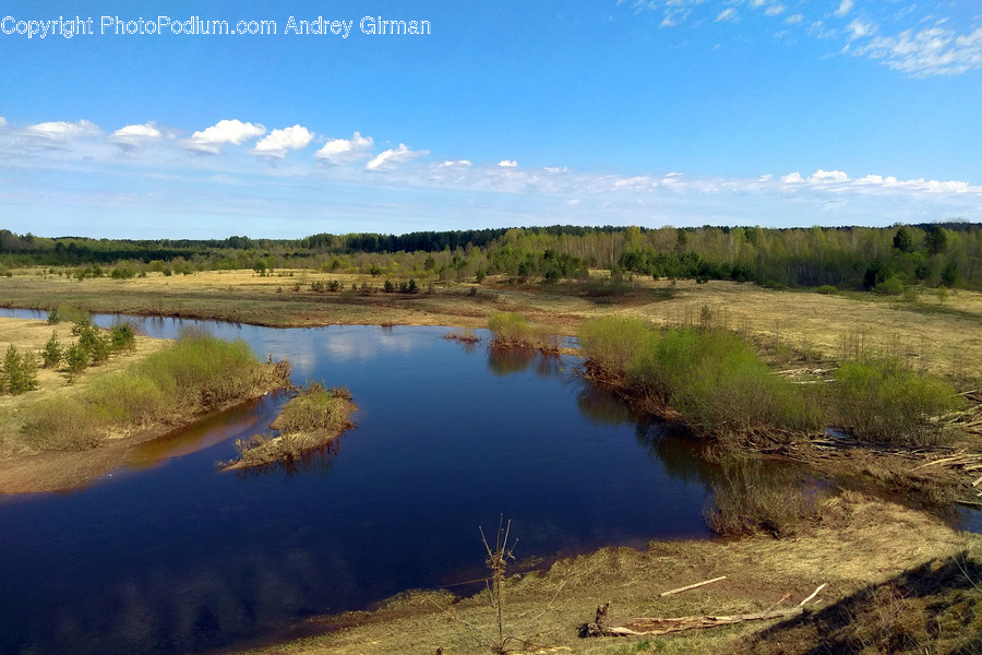 Nature, Outdoors, Land, Water, Swamp