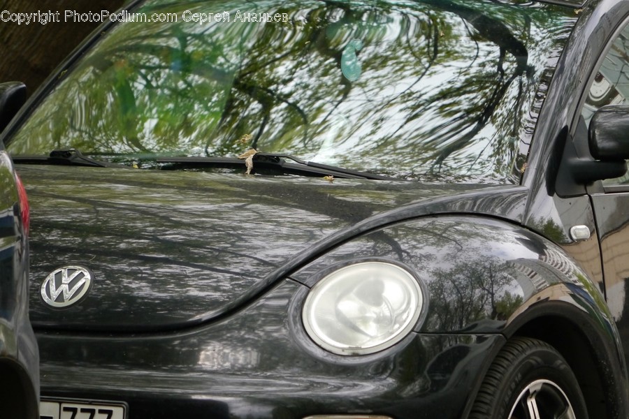 Vehicle, Car, Transportation, Automobile, Light
