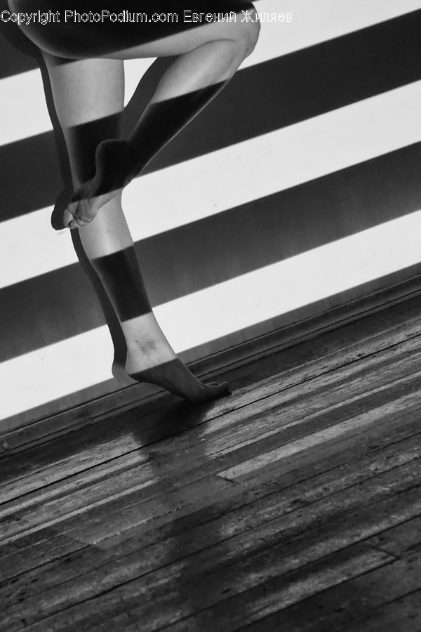 Asphalt, Tarmac, Road, Zebra Crossing, Human