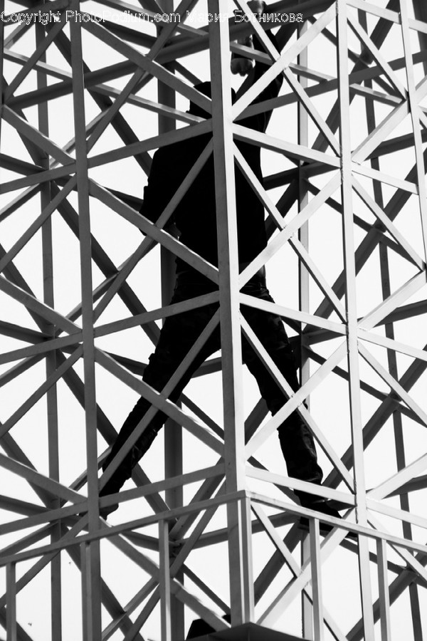 Triangle, Animal, Bird, Pattern, Building
