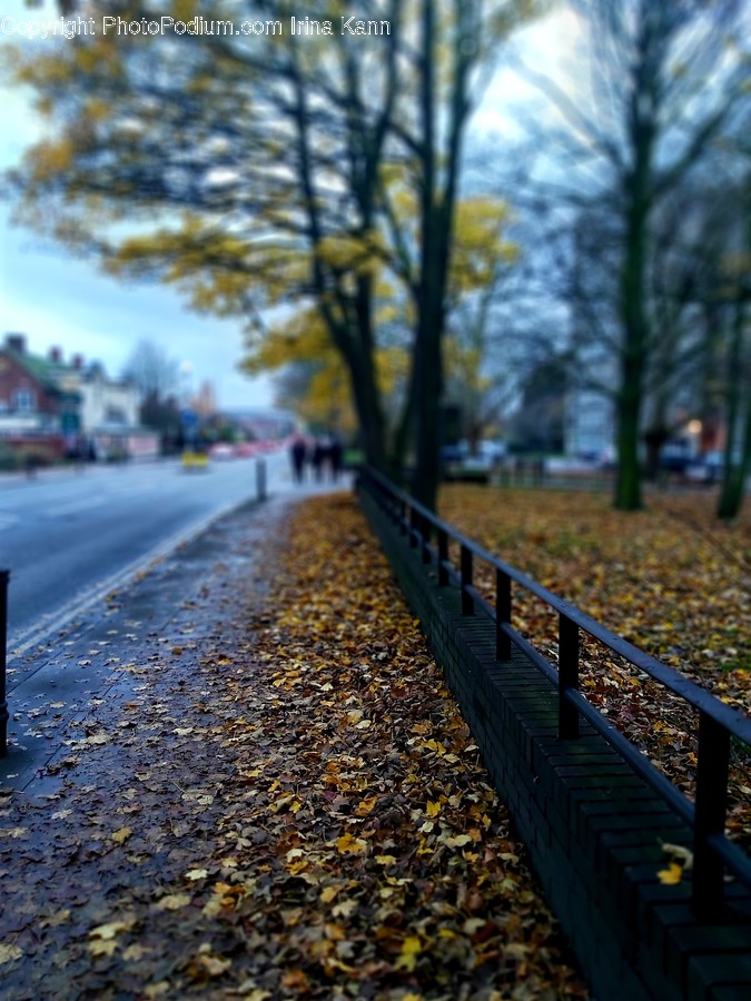 Asphalt, Tarmac, Person, Human, Railing