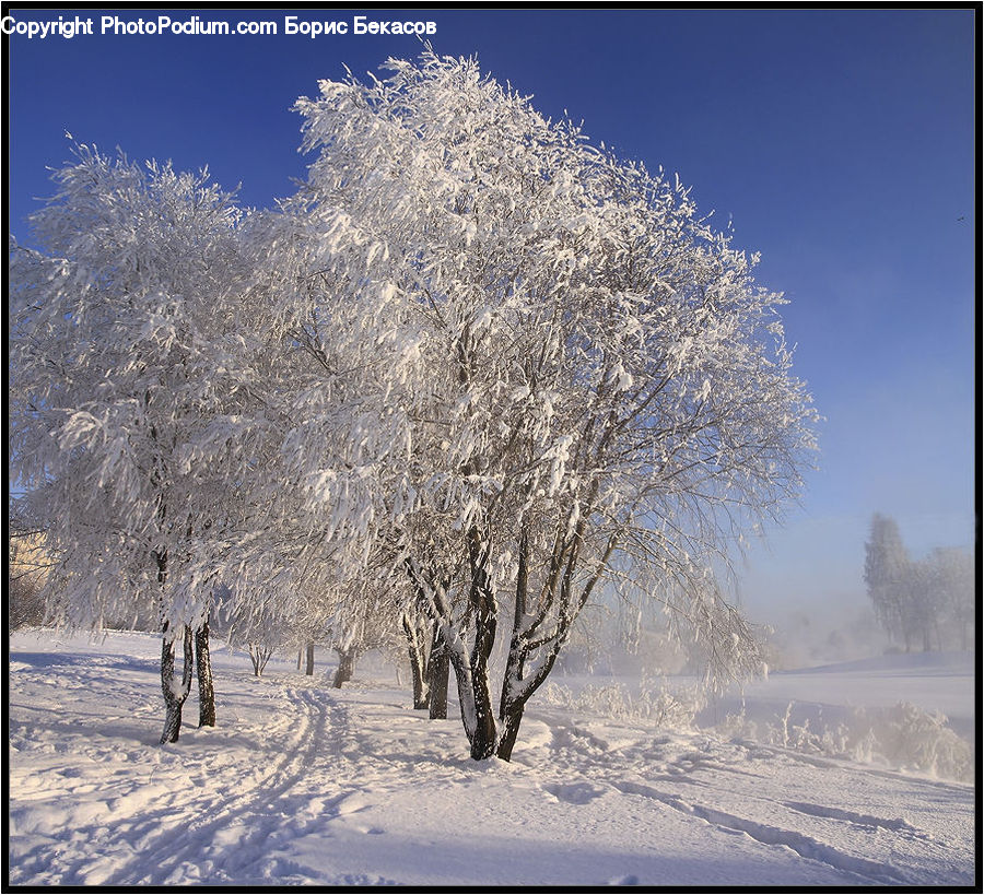 Frost, Ice, Outdoors, Snow, Landscape, Nature, Scenery