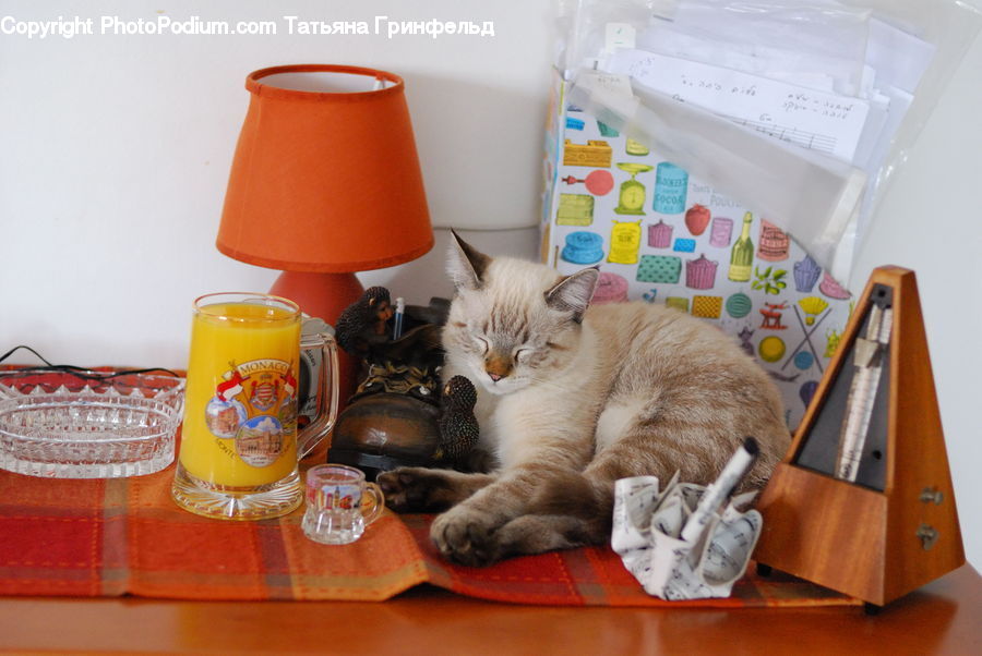 Cup, Beverage, Drink, Pot, Pottery, Lamp, Lampshade