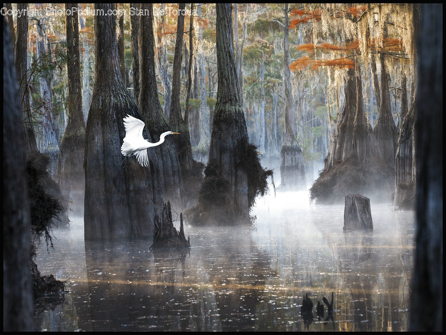Land, Outdoors, Nature, Water, Art