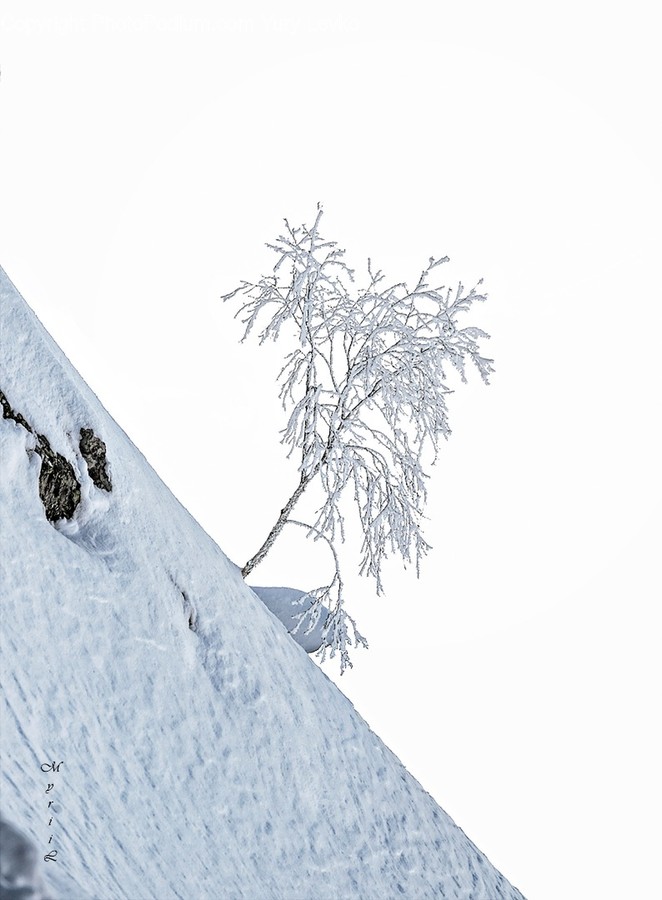 Outdoors, Nature, Snow, Ice, Winter