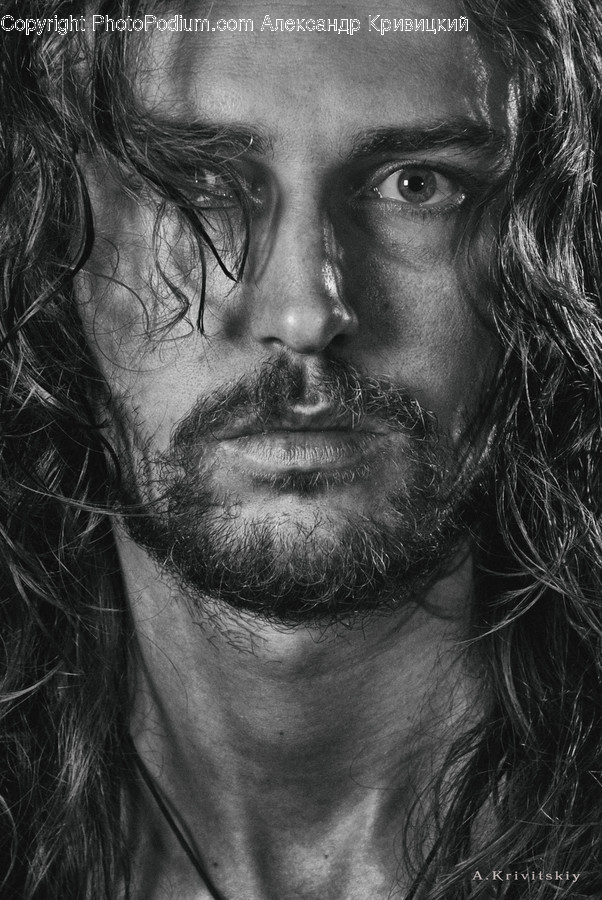 Human, Person, Face, Beard, Portrait