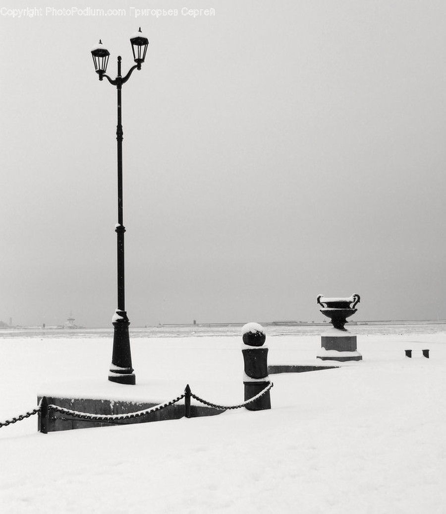 Lamp Post, Animal, Bird