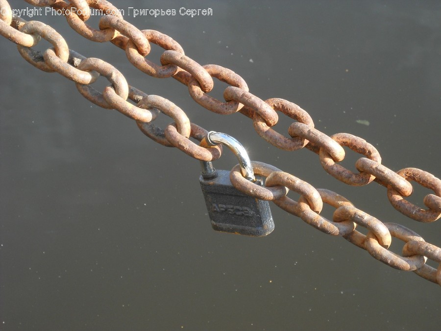 Chain, Snake, Animal, Reptile