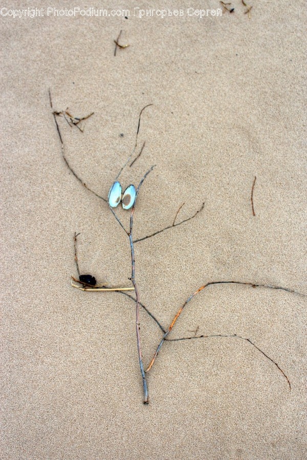Outdoors, Sand, Nature, Porcelain, Art