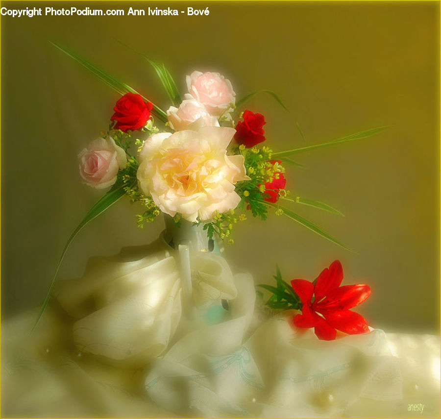 Blossom, Flora, Flower, Plant, Geranium, Lily, Flower Arrangement
